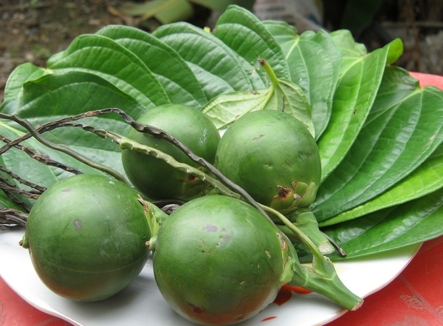 Quả cau và lá trầu